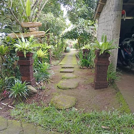 Bali Mountain Forest Cabin Penebel Eksteriør bilde