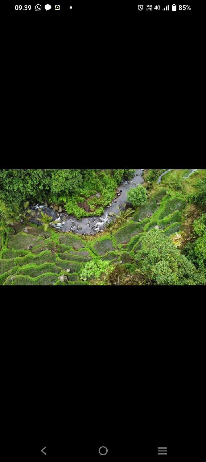 Bali Mountain Forest Cabin Penebel Eksteriør bilde