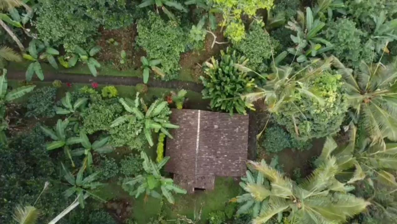 Bali Mountain Forest Cabin Penebel Rom bilde