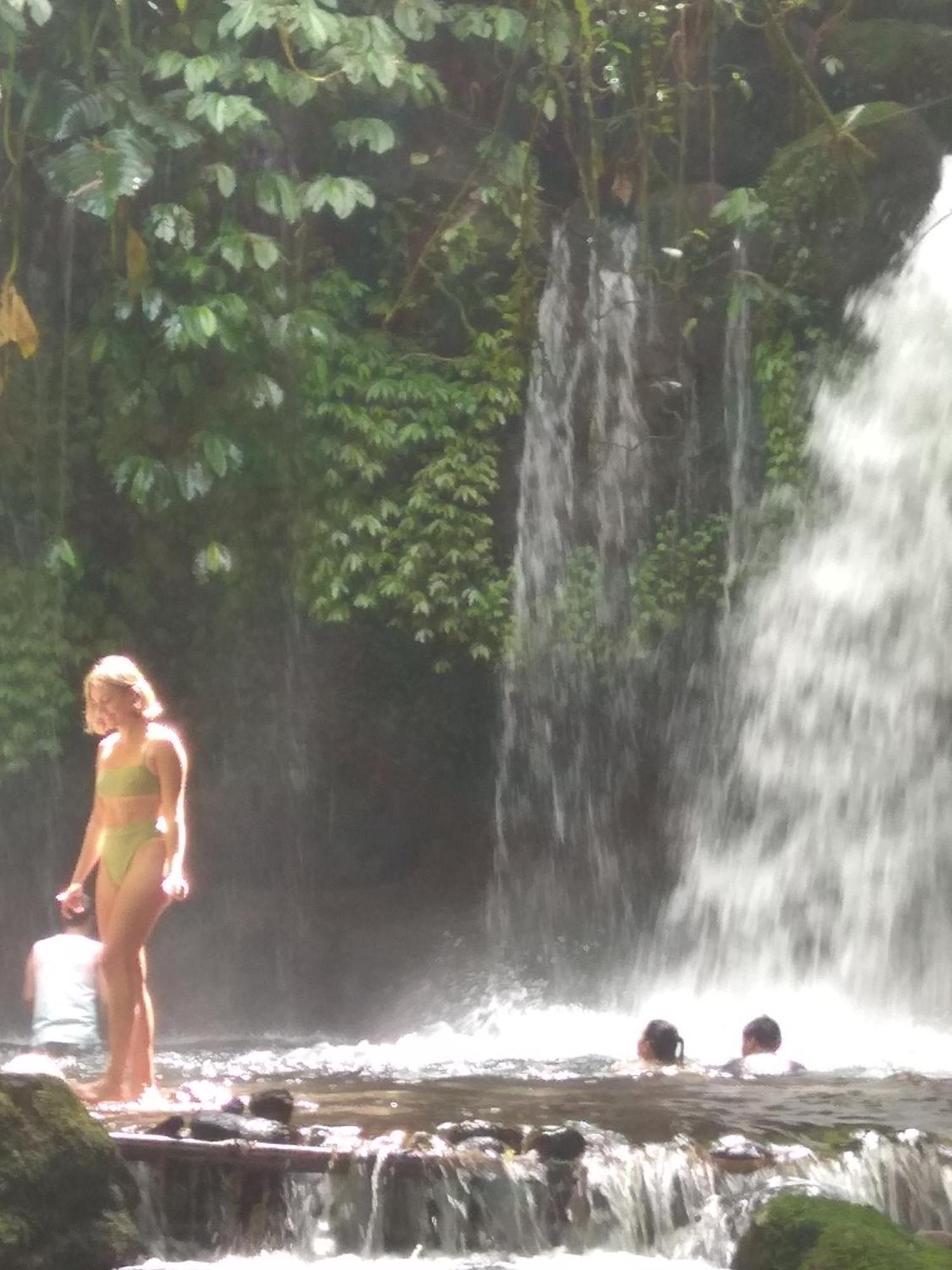 Bali Mountain Forest Cabin Penebel Rom bilde