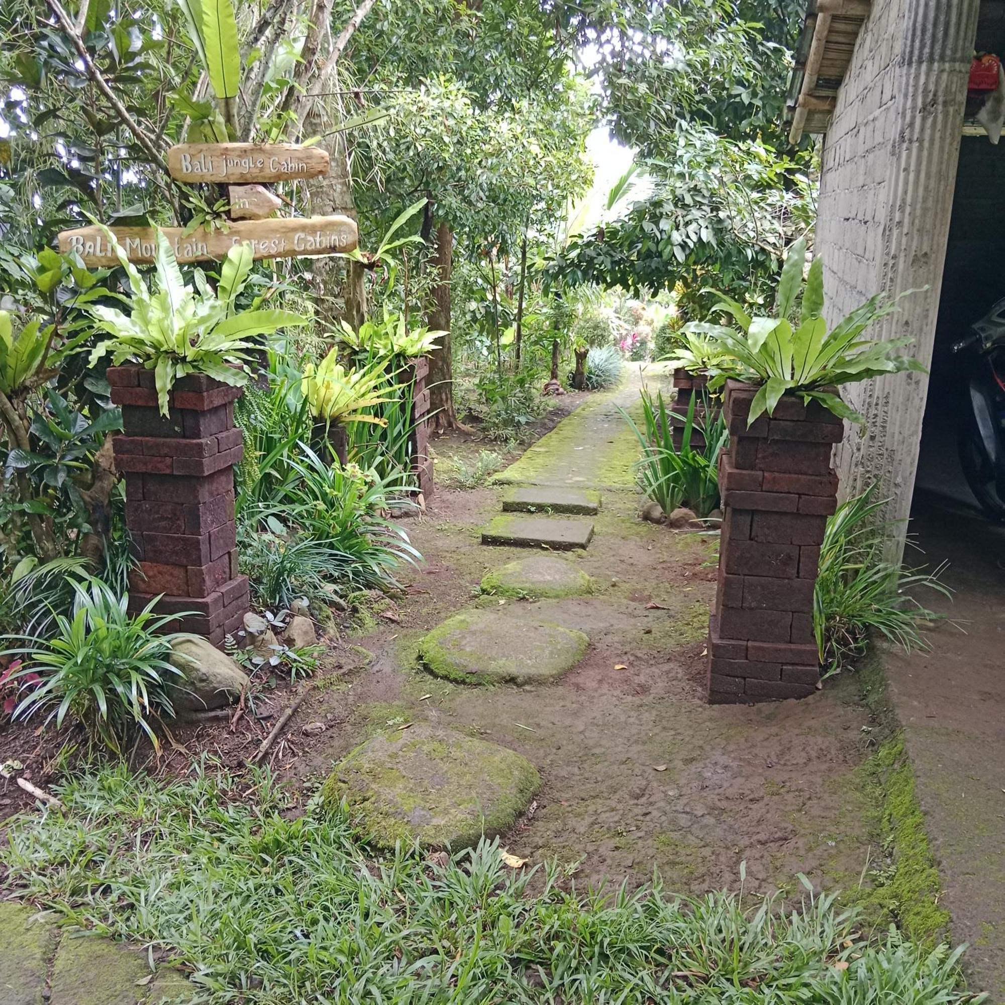 Bali Mountain Forest Cabin Penebel Rom bilde