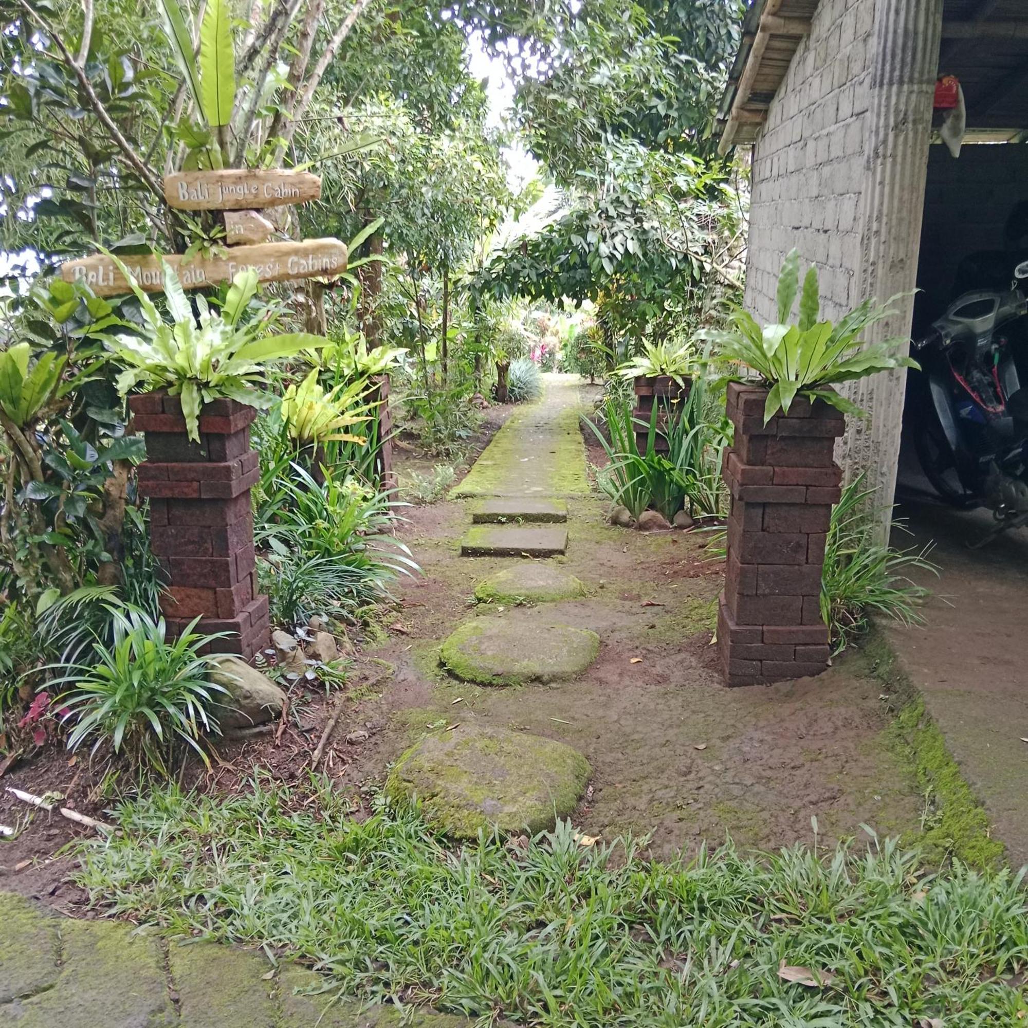 Bali Mountain Forest Cabin Penebel Eksteriør bilde