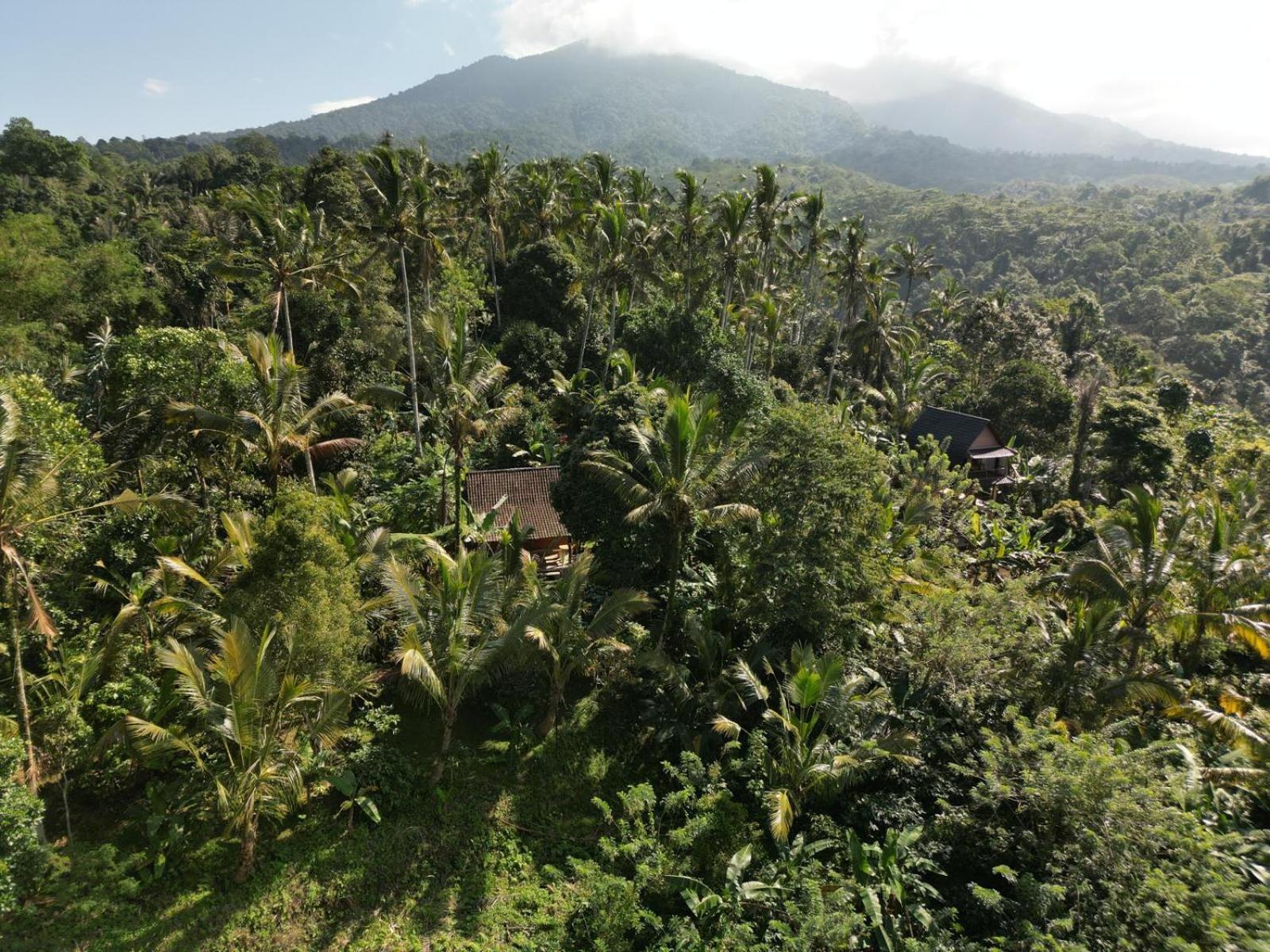 Bali Mountain Forest Cabin Penebel Rom bilde