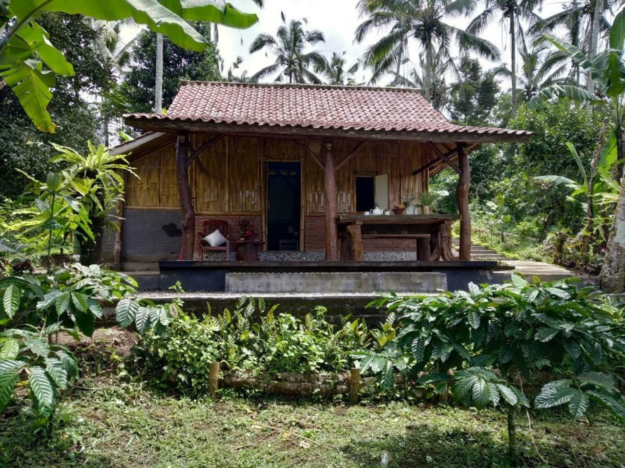 Bali Mountain Forest Cabin Penebel Eksteriør bilde
