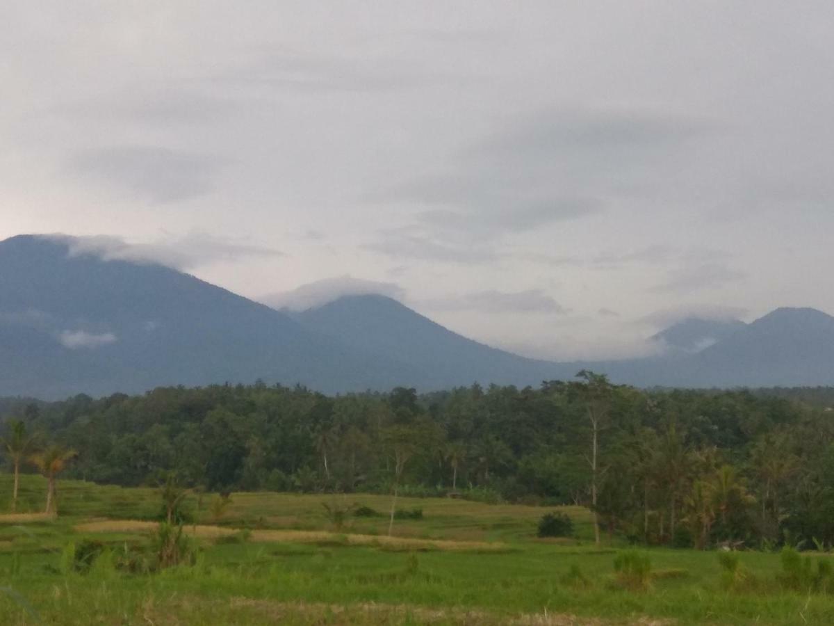 Bali Mountain Forest Cabin Penebel Eksteriør bilde