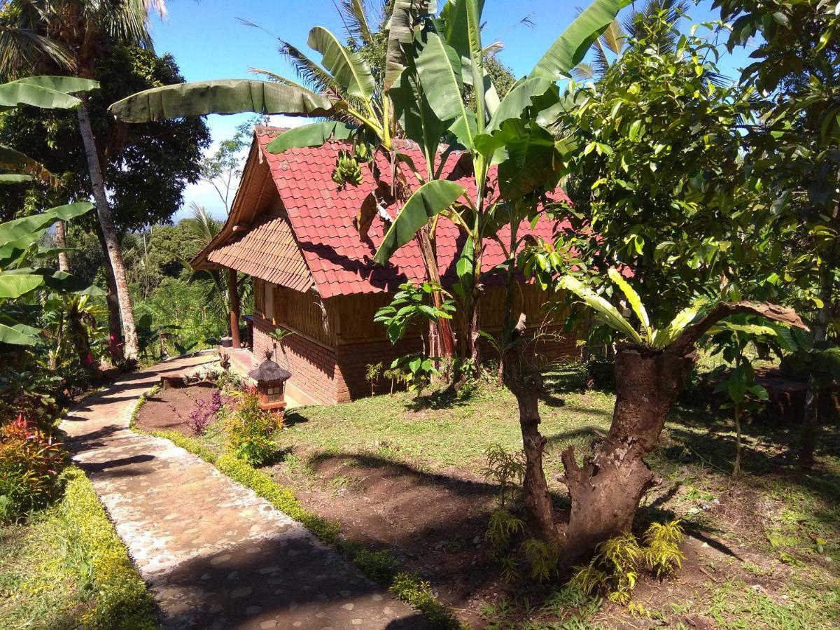 Bali Mountain Forest Cabin Penebel Eksteriør bilde